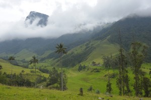 Kolumbien, Valle Cocora