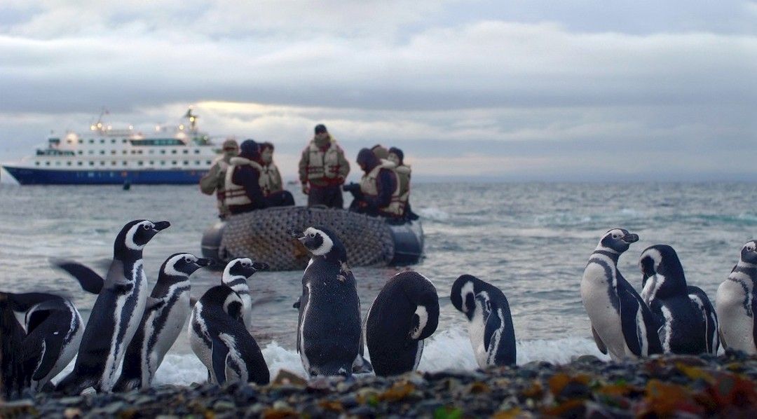 Patagonien, Kap Hoorn und Feuerland