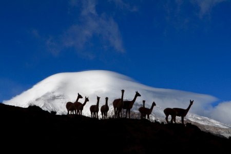 Ecuador Reisen