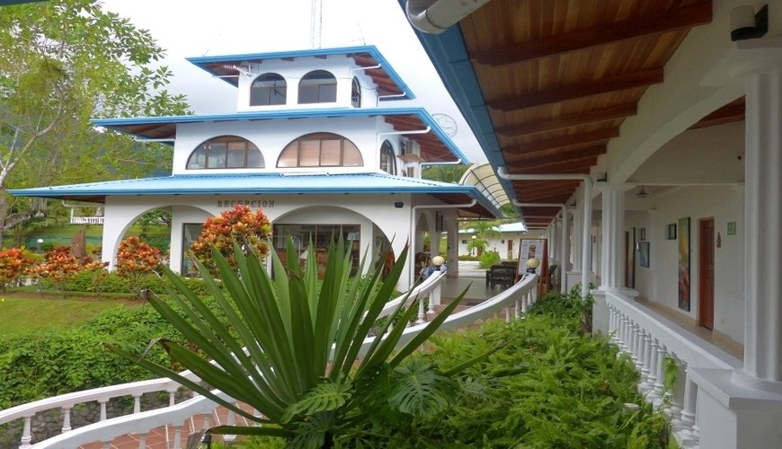 Hotel Resort & Spa Cristal Ballena - Bild 2