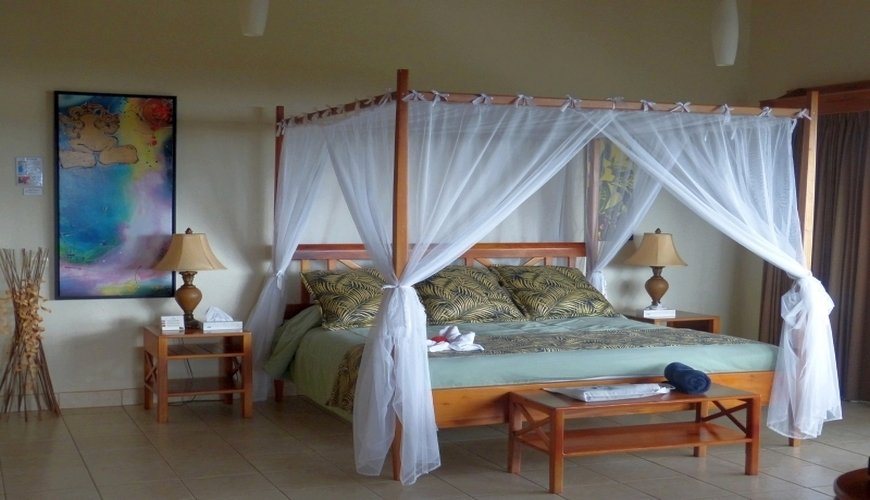 Hotel Resort & Spa Cristal Ballena - Bild 3