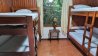 Tirimbina Rainforest Lodge - Vorschaubild 6