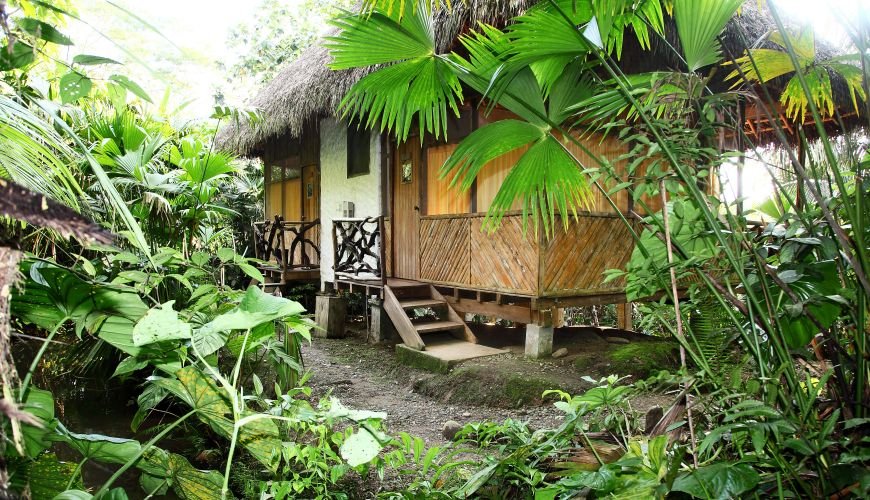 Liana Lodge - Bild 3