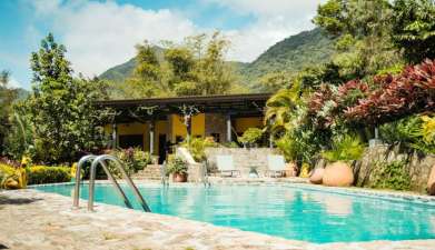 The Golden Frog Inn