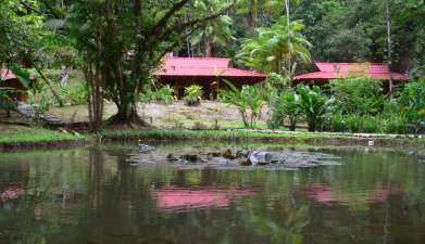 Esquinas Rainforest Lodge