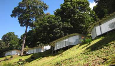 Dantica Cloud Forest Lodge