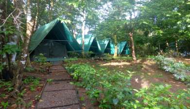 Corcovado Tent Camp