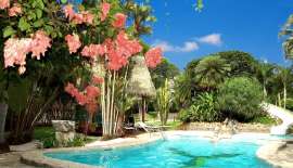 Flying Crocodile Hotel