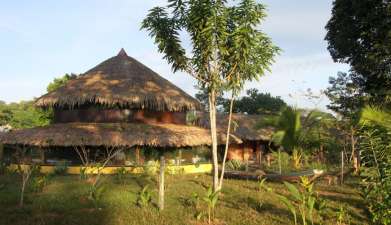 Amazon Turtle Lodge