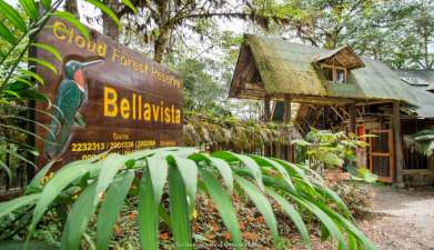 Bellavista Cloud Forest Reserve & Lodge