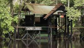 Tapir Lodge