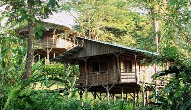 Selva Bananito Lodge