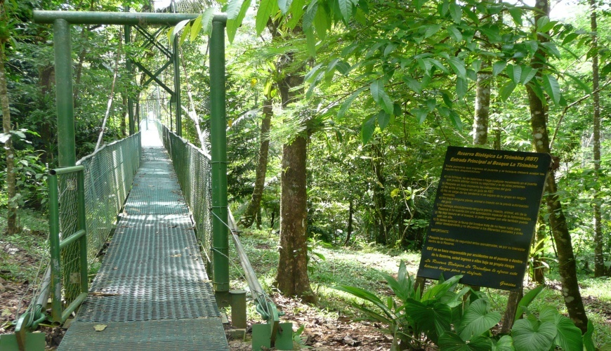 Tirimbina Regenwaldreservat