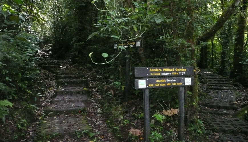 Exkursion Biologisches Reservat Monteverde