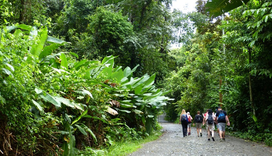 Exkursion im Nationalpark Manuel Antonio