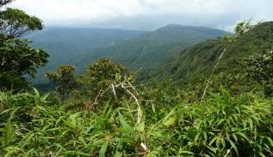 Exkursion Biologisches Reservat Monteverde