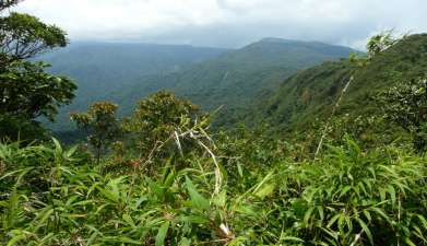 Exkursion Biologisches Reservat Monteverde