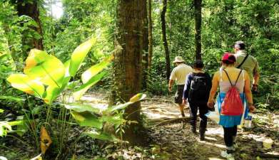 Exkursion in den Corcovado Nationalpark