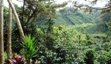 Geführte Wanderung durch das Naturreservat Selva Negra