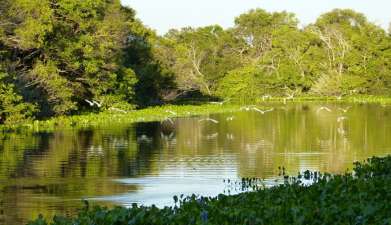 Bootsafari Hato El Cedral
