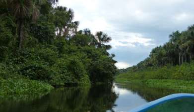 Bootsafari Orinoco Delta