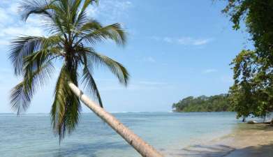 Wandern im Cahuita Nationalpark