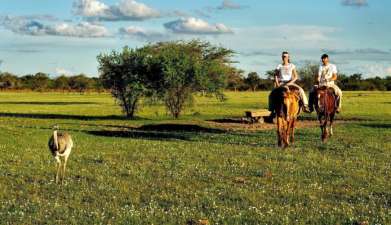 Bootsafari und Reitausflug Iberá