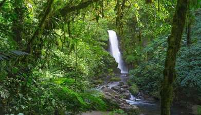 La Paz Wasserfall Gärten