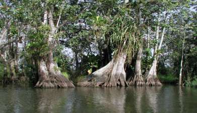 Besuch des Los Guatuzos Reservats