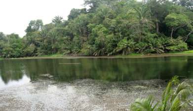 Ausflug Nationalpark Soberania und Gatun See