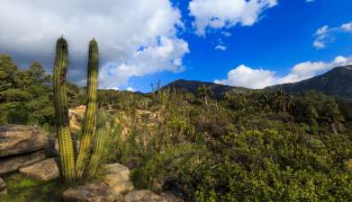 Tagesausflug Wanderung im Nationalpark La Campana