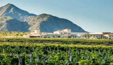 Cafayate Wein Tour