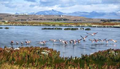 Besuch der Laguna Nimez