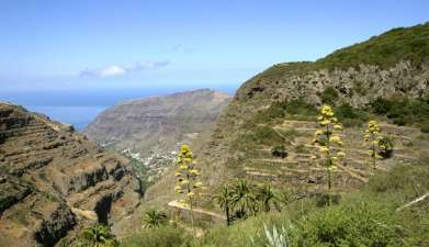 Inselrundfahrt La Gomera