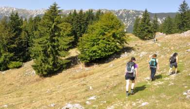 Wanderung zur Curmatura Hütte
