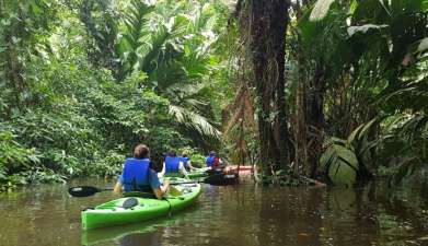 Tortuguero Kayaktour