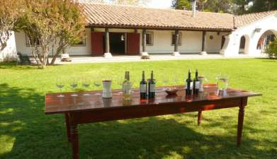 Besuch des Weingutes Viña Undurraga