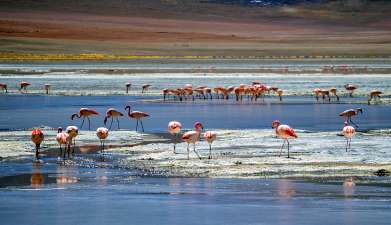 Exkursion von Ojo de Perdiz nach Tahua