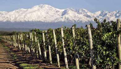 Privat geführte Premium Wine Tour 3 Bodegas + Mittagessen