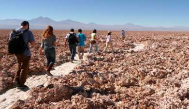 Exkursion Salar de Atacama und Salare