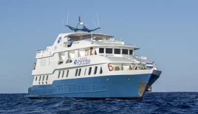 M/Y Natural Paradise