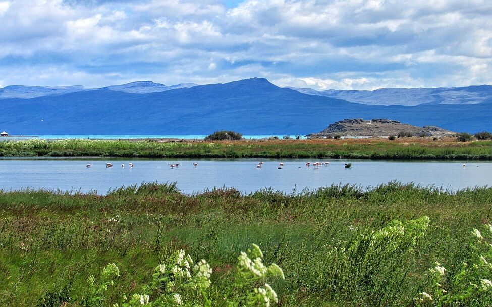 Naturschutzgebiet - Laguna Nimez