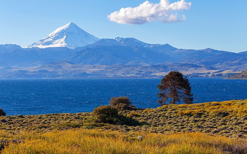 Nationalpark - Parque Nacional Lanín
