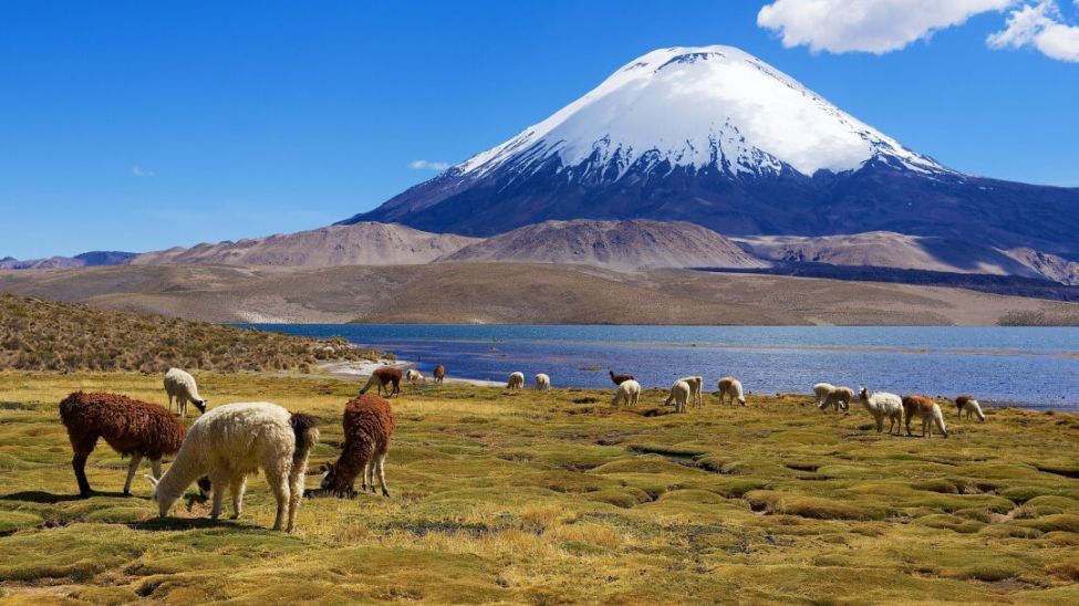 Nationalpark Lauca - Parque Nacional Lauca