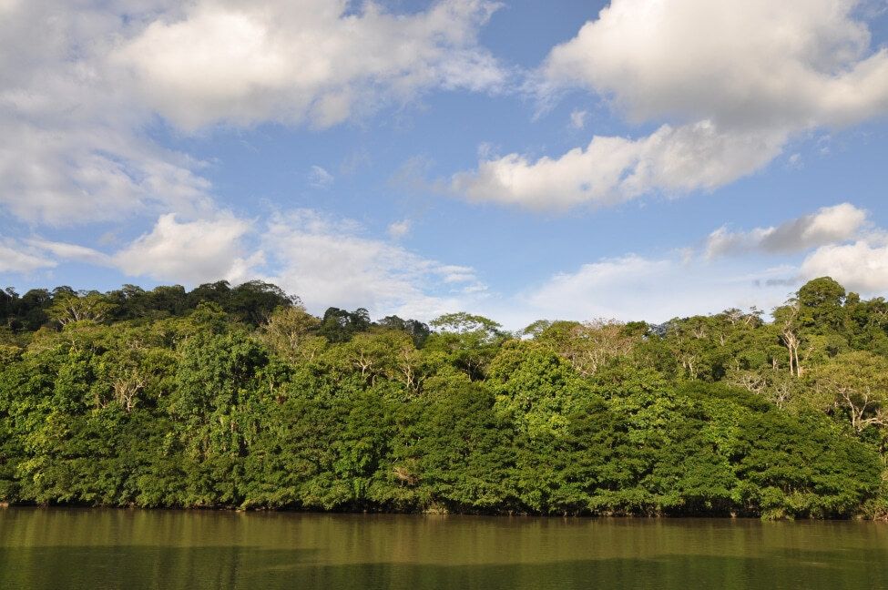 Nationalpark - Parque nacional Yasuní