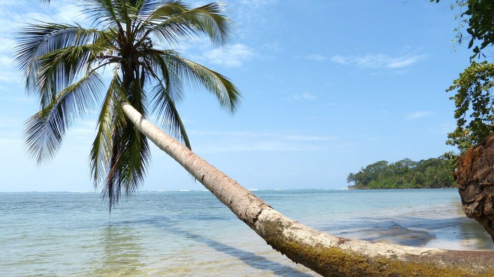 Nationalpark - Parque Nacional Cahuita