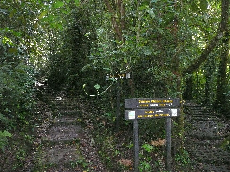 Nationalparks - Reserva Biológica Bosque Nuboso Monteverde