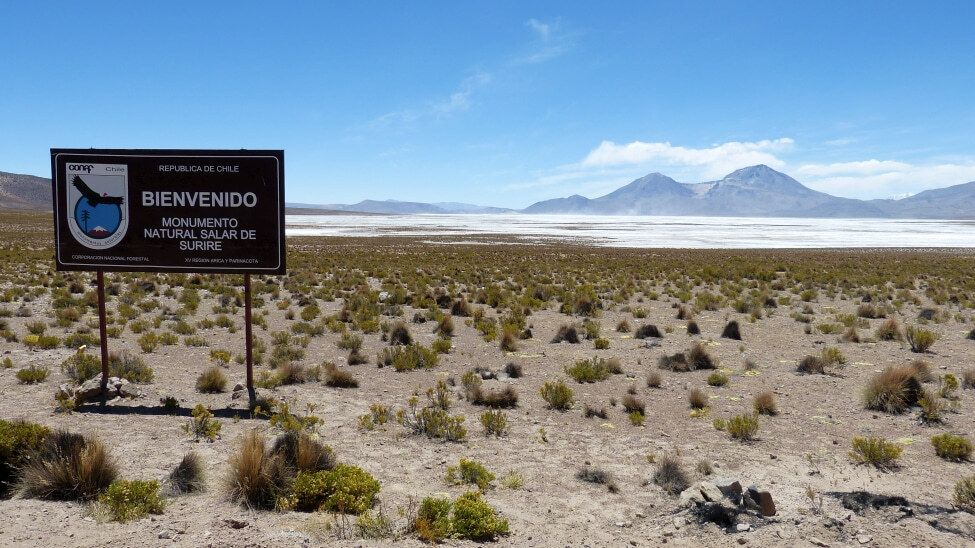 Naturdenkmal - Monumento Natural Salar de Surire