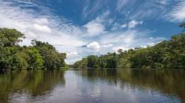 Yasuni-Nationalpark