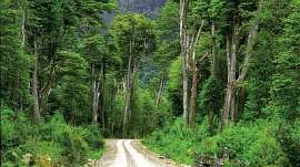 Carretera Austral